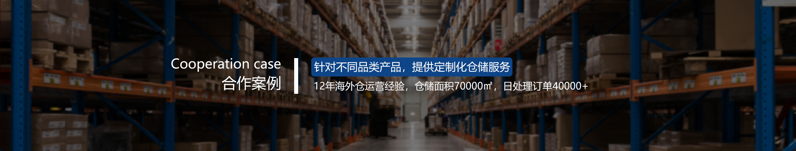 倉盛海外倉合作案例